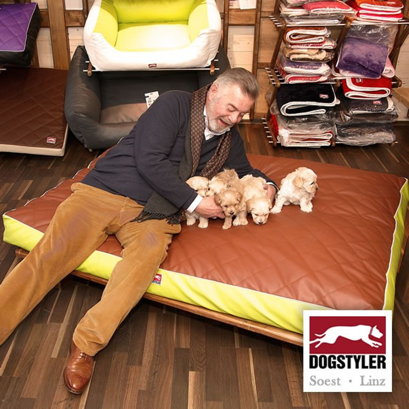 Harry Wijnvoord – DOGSTYLER